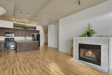 1524 South Sangamon Street Chicago IL 60608