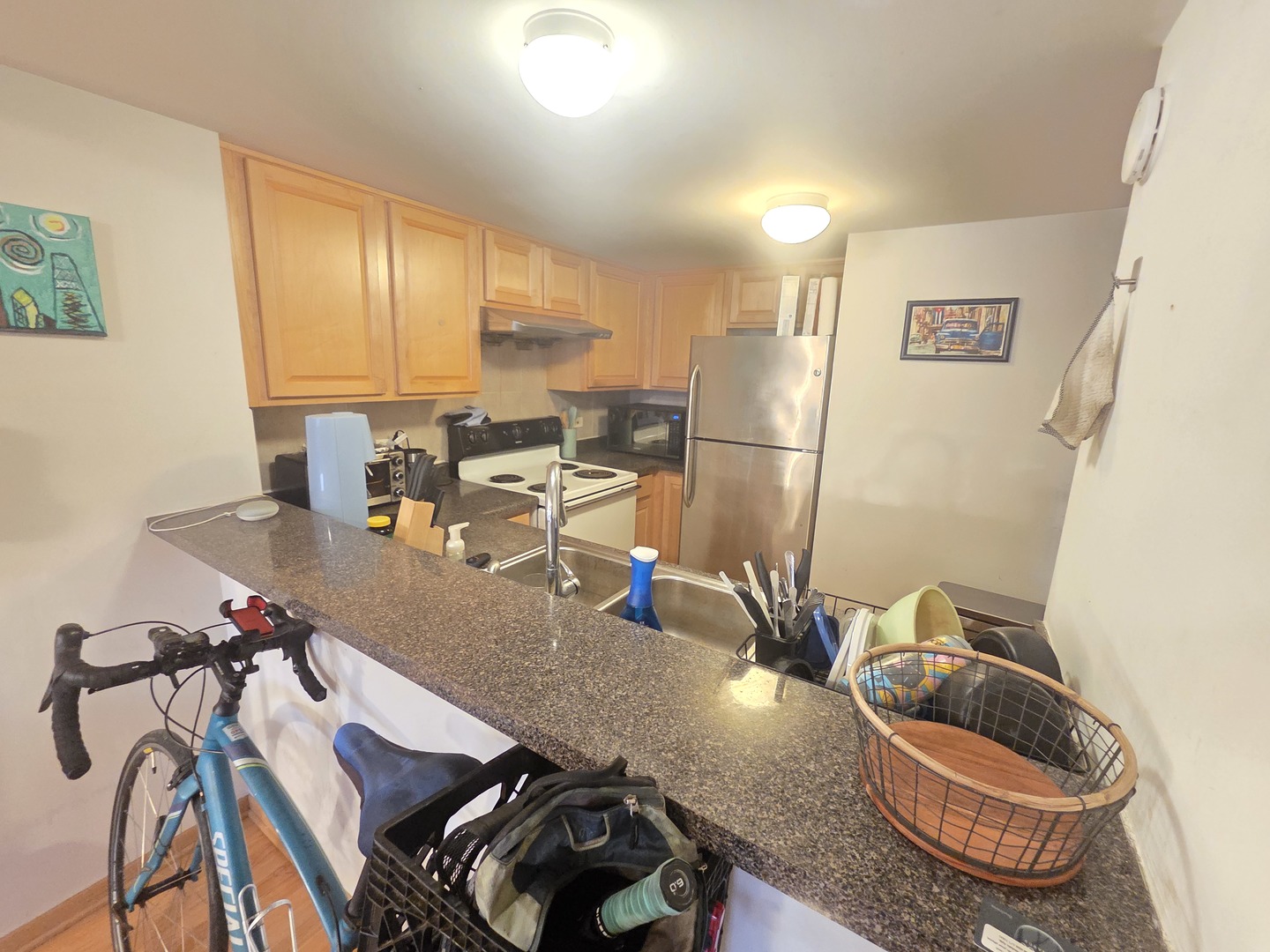 1828 South Wentworth Avenue Chicago IL 60616