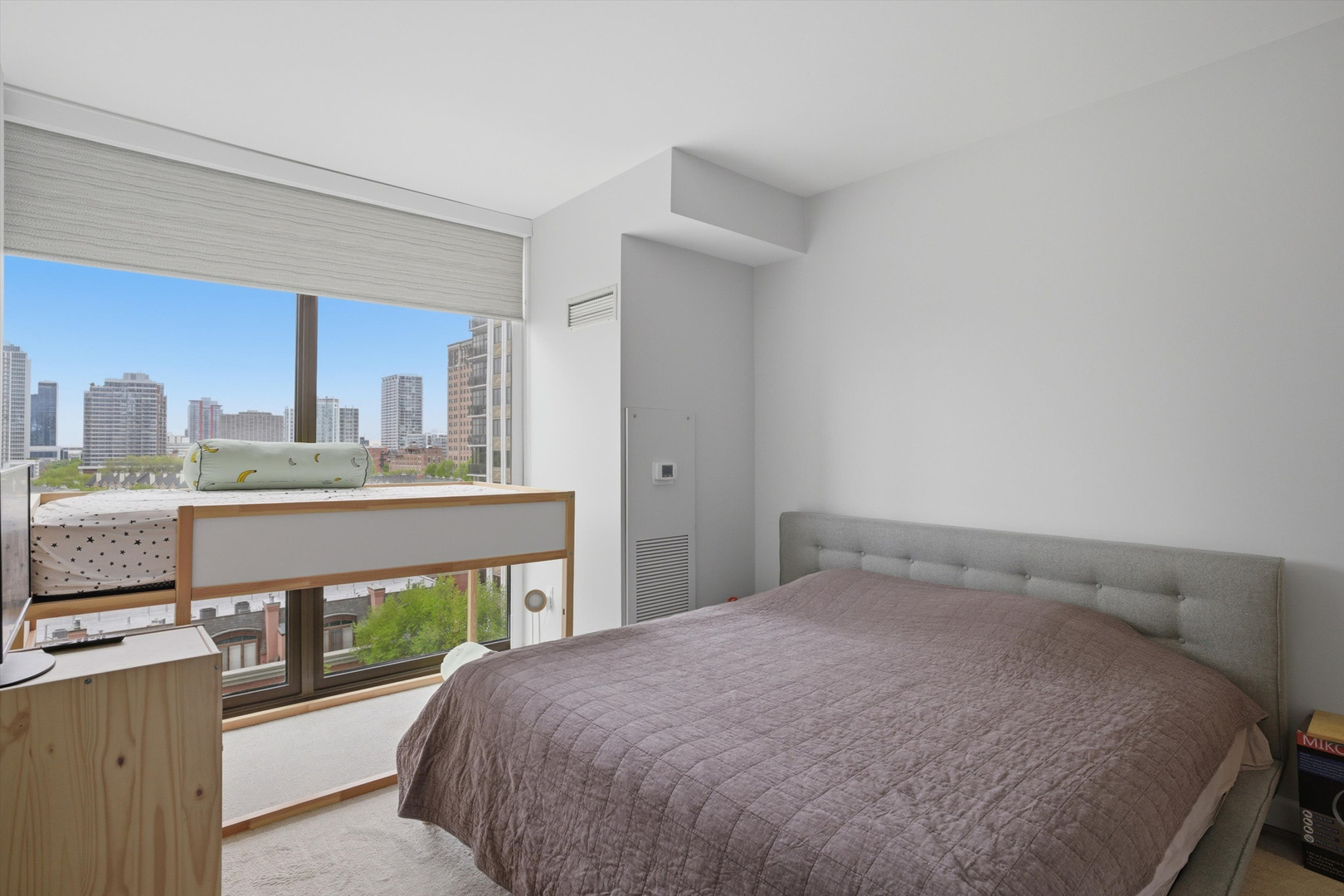 233 East 13th Street Chicago IL 60605