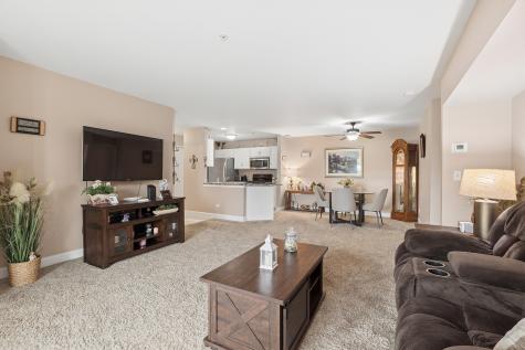 20335 South Rainford Drive Frankfort IL 60423