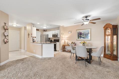 20335 South Rainford Drive Frankfort IL 60423