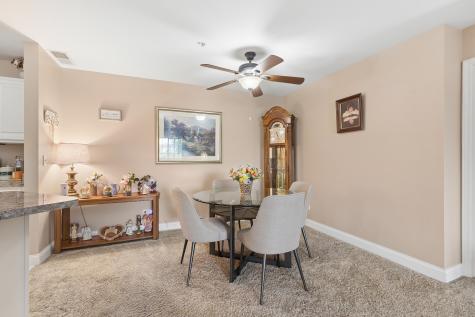 20335 South Rainford Drive Frankfort IL 60423