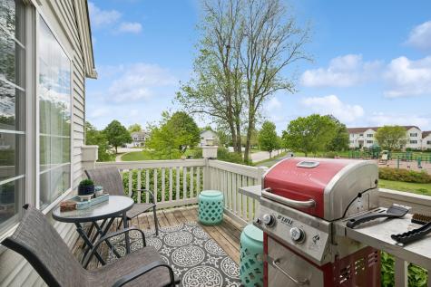 1466 New Haven Drive Cary IL 60013