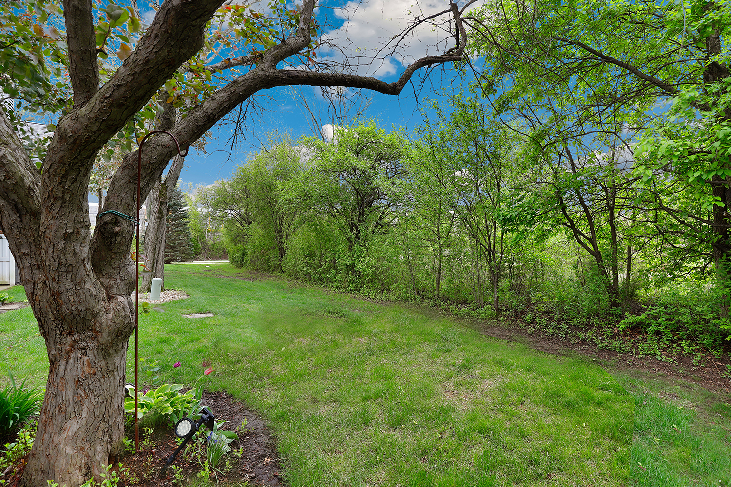0N024 Ambleside Drive Winfield IL 60190
