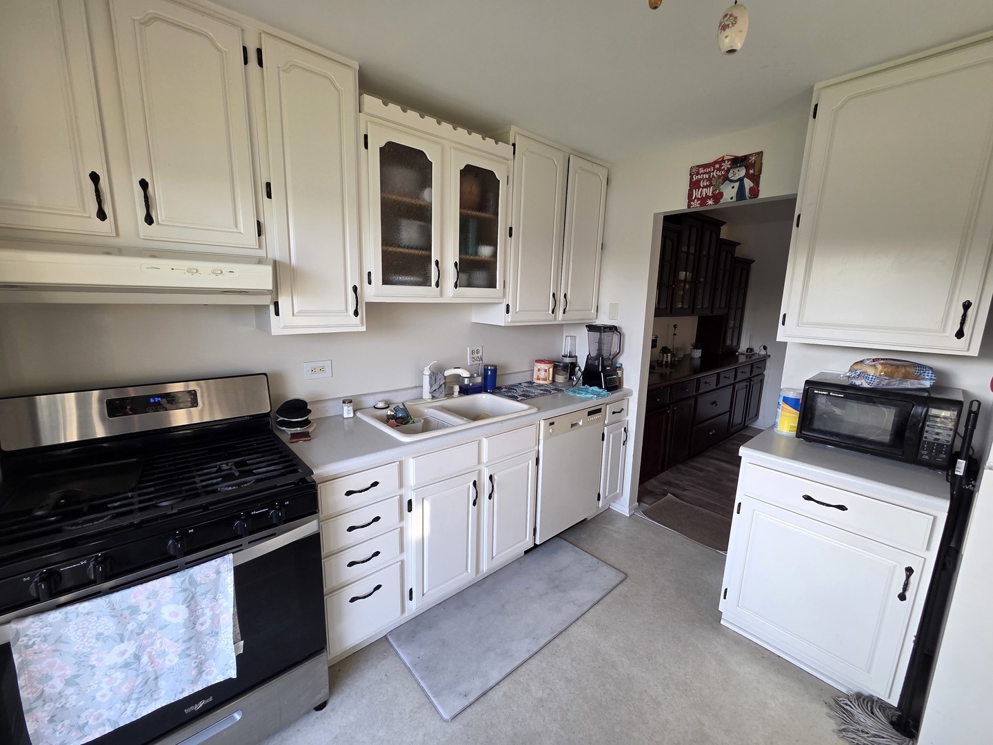 390 Springlake Lane Aurora IL 60504