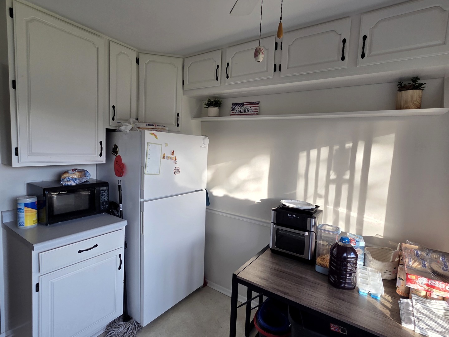 390 Springlake Lane Aurora IL 60504