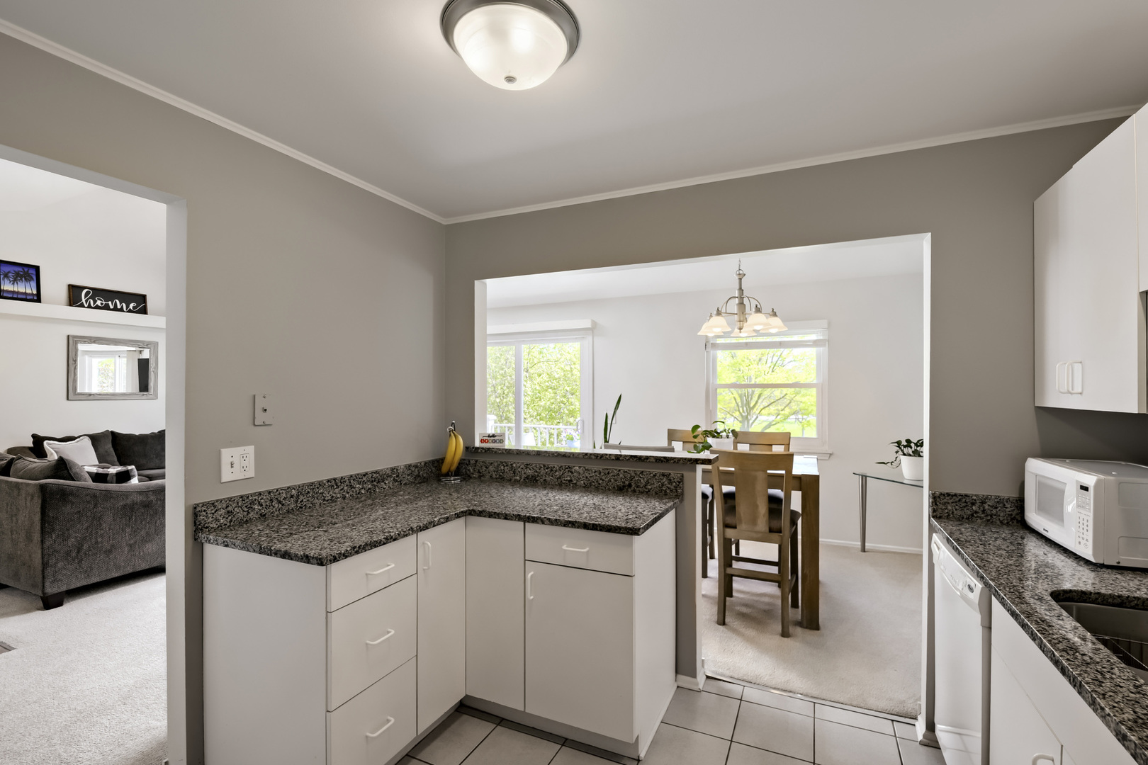 41 Ashburn Court Schaumburg IL 60193