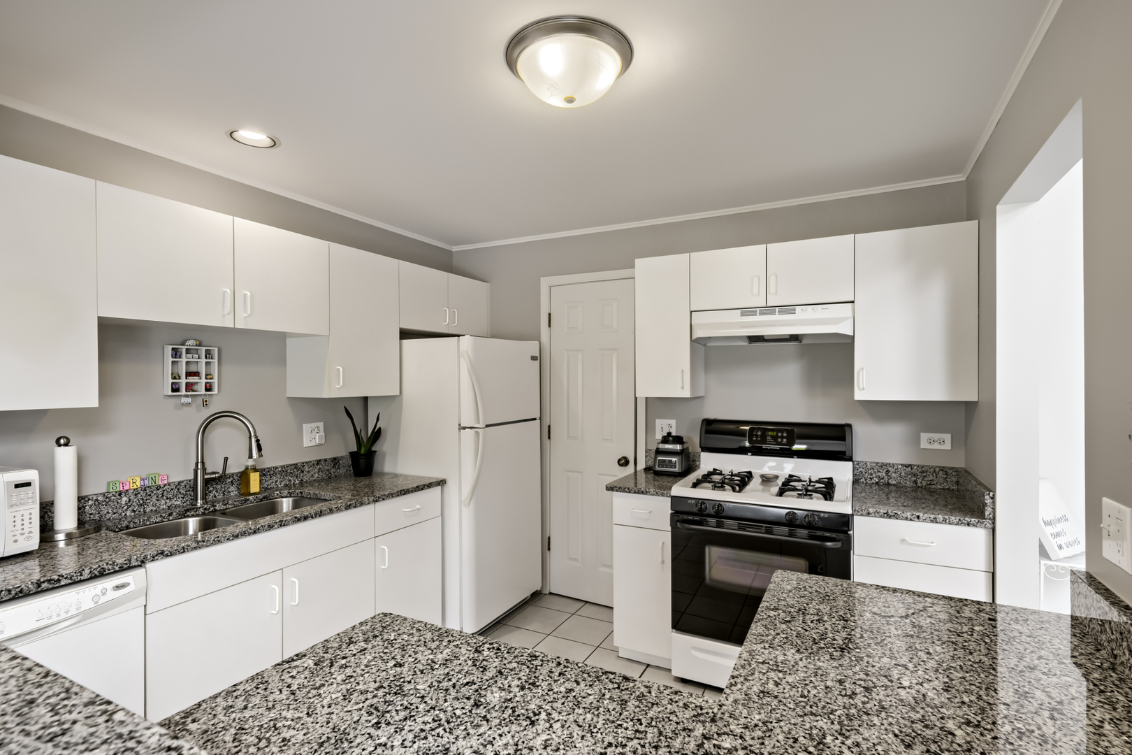 41 Ashburn Court Schaumburg IL 60193