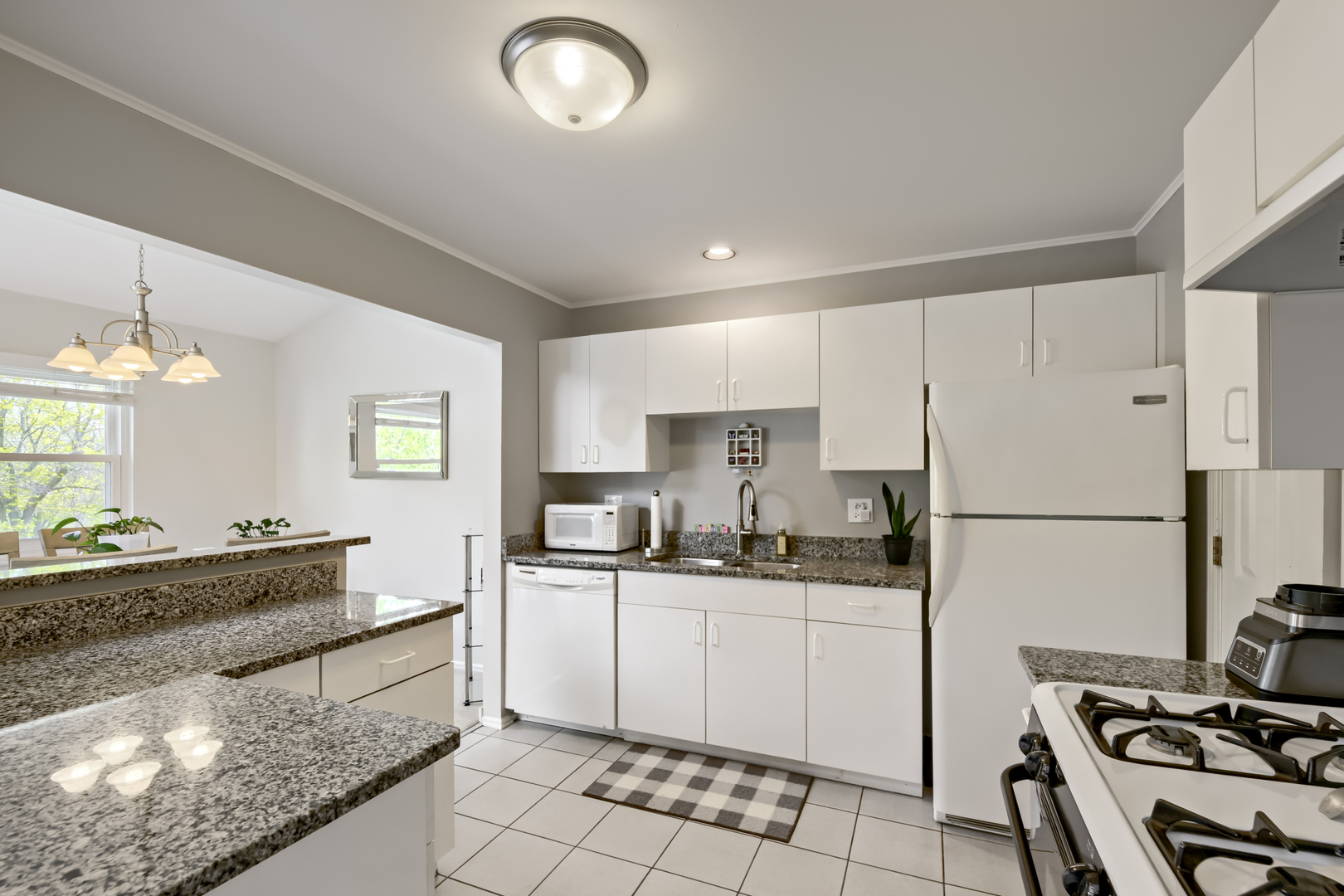 41 Ashburn Court Schaumburg IL 60193