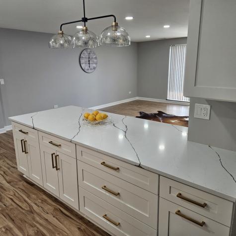 1717 West Crystal Lane Mount Prospect IL 60056