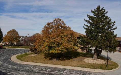 10937 California Court Orland Park IL 60467