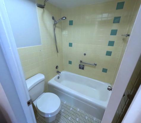 424 Park Avenue River Forest IL 60305