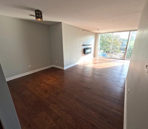 424 Park Avenue River Forest IL 60305