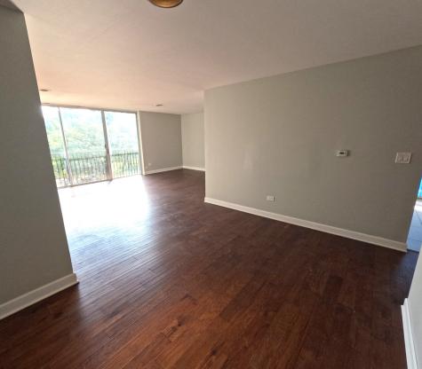424 Park Avenue River Forest IL 60305