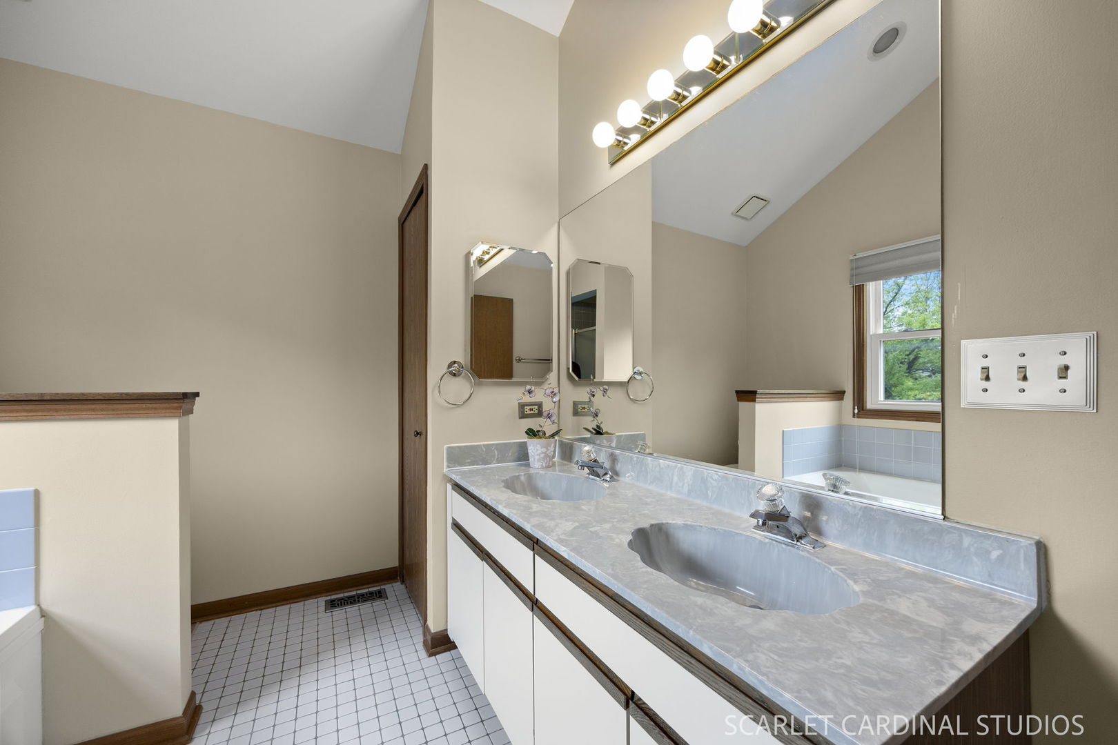 1310 Tennyson Lane Naperville IL 60540