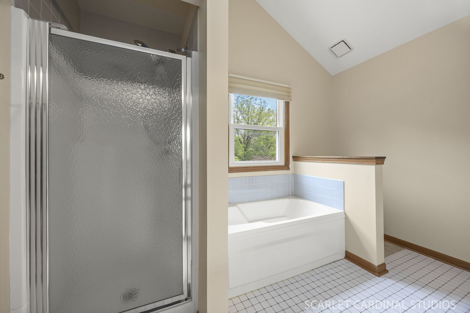 1310 Tennyson Lane Naperville IL 60540
