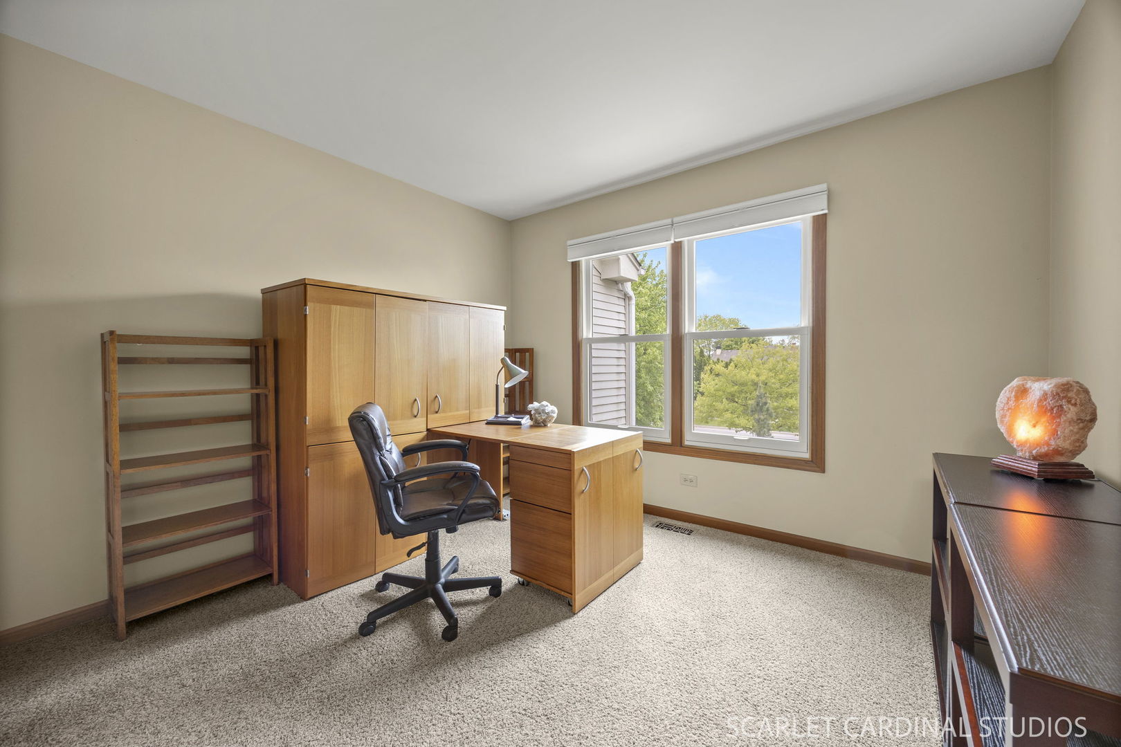 1310 Tennyson Lane Naperville IL 60540