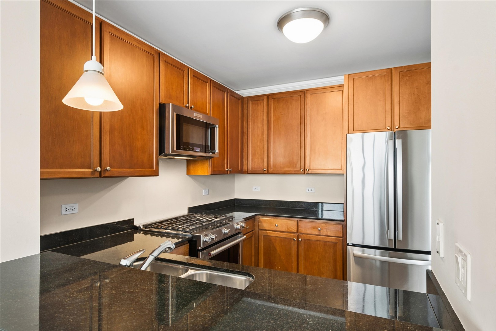 225 North Columbus Drive Chicago IL 60601