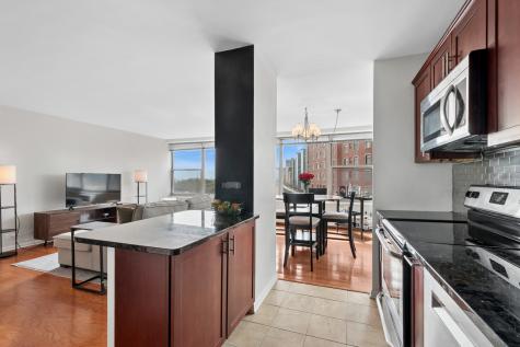 3900 North Lake Shore Drive Chicago IL 60613