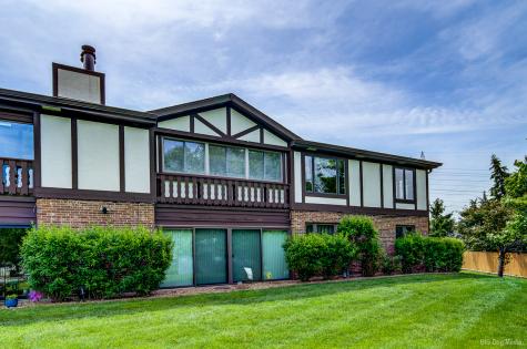 9822 West Mill Drive Palos Park IL 60464