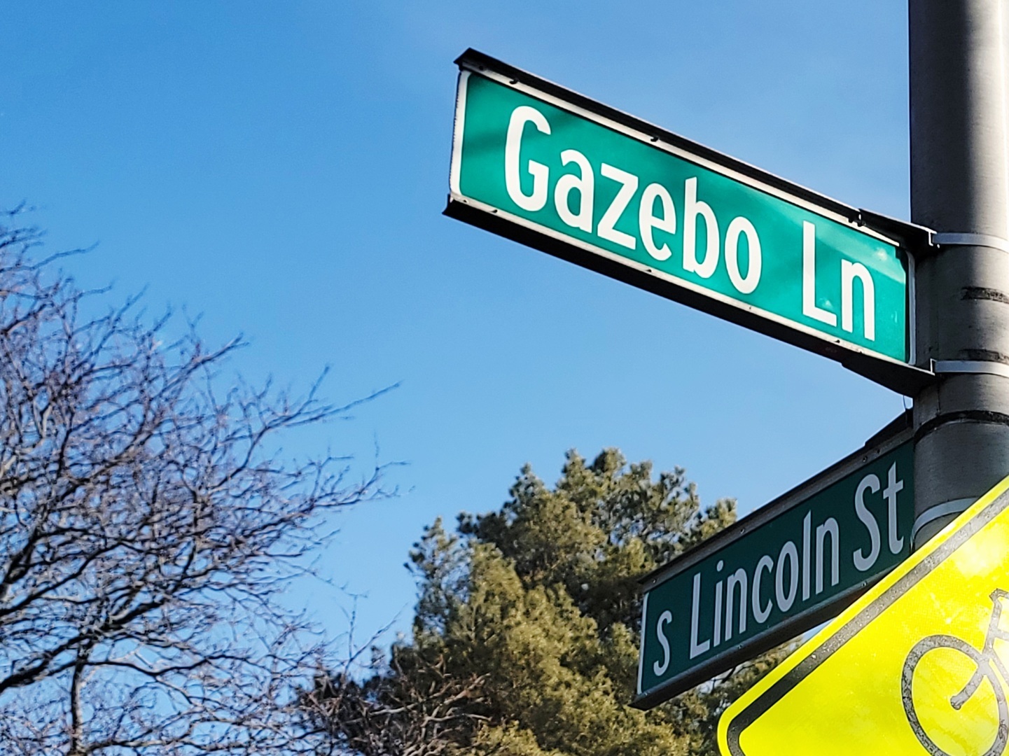 214 Gazebo Lane Lombard IL 60148