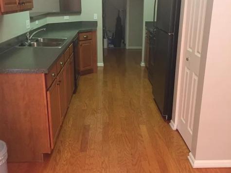 440 West Mahogany Court Palatine IL 60067