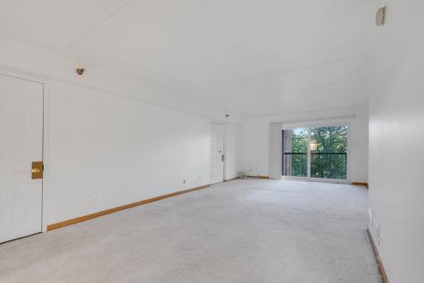 5960 Lake Bluff Drive Tinley Park IL 60477