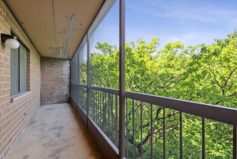 6020 Lake Bluff Drive Tinley Park IL 60477