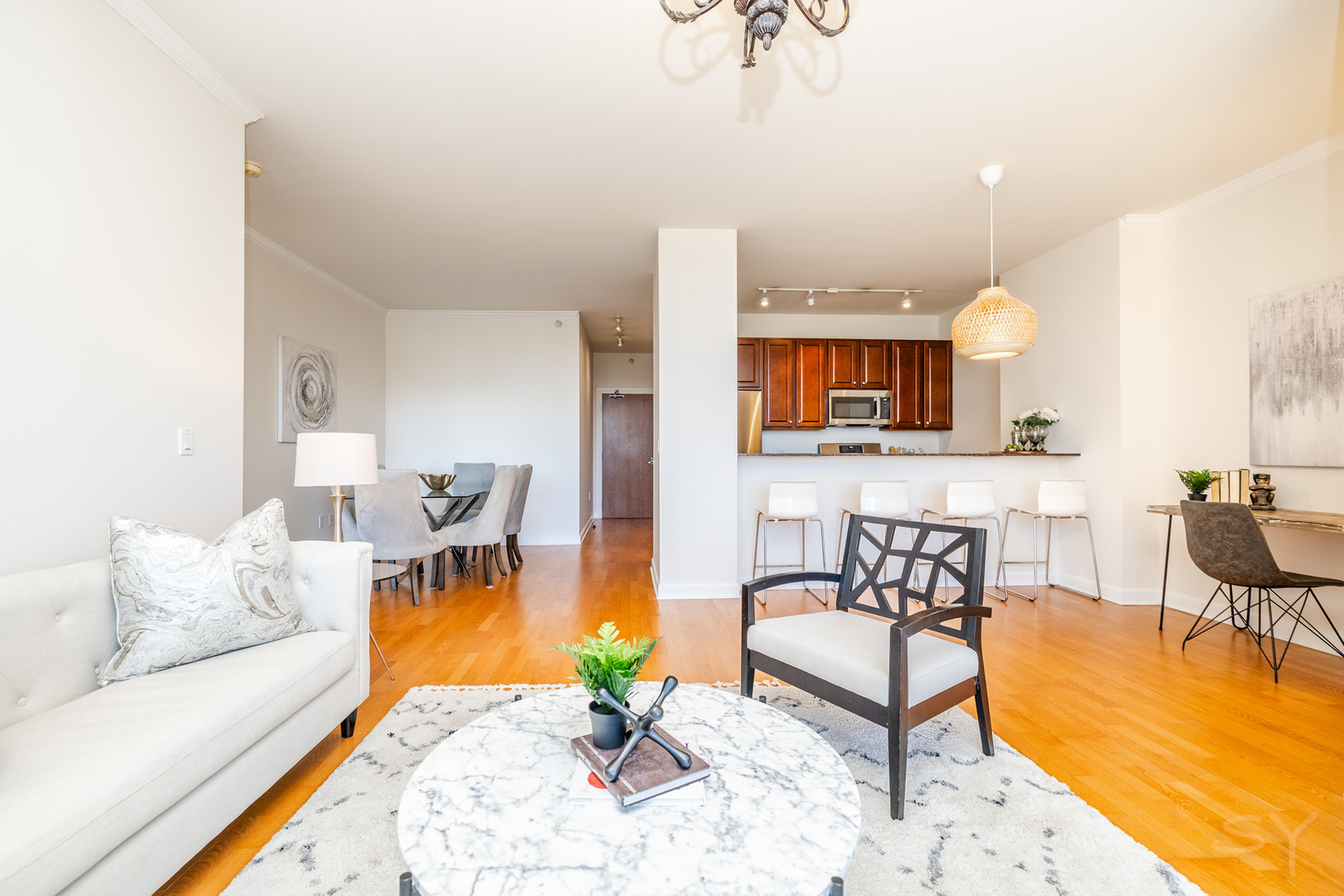 233 East 13th Street Chicago IL 60605