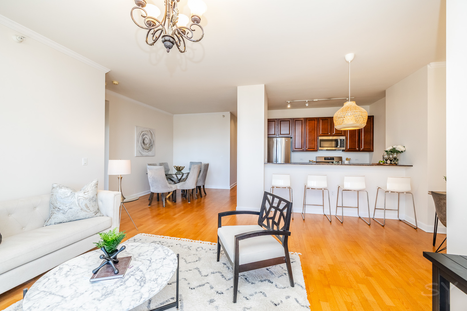 233 East 13th Street Chicago IL 60605