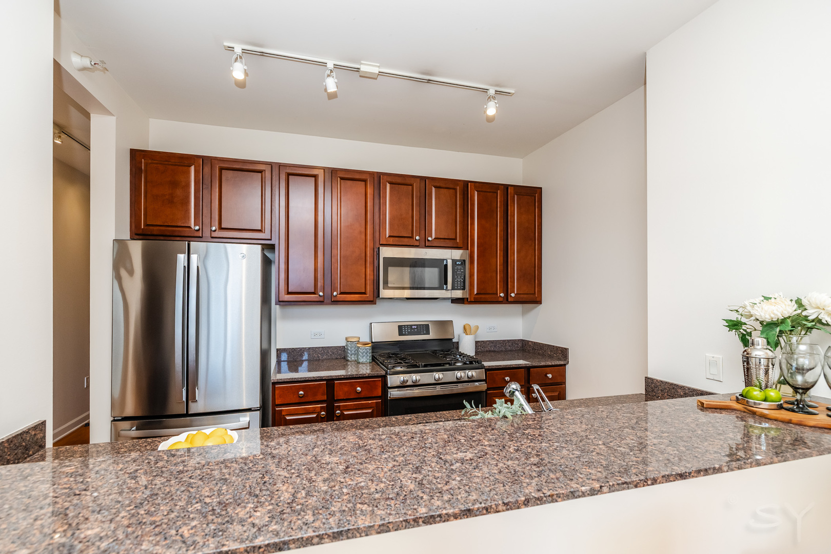 233 East 13th Street Chicago IL 60605