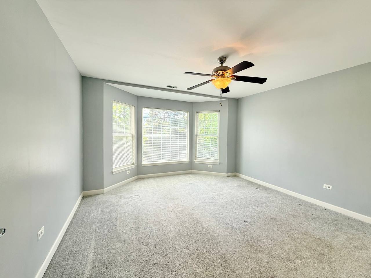 930 Case Street Naperville IL 60563
