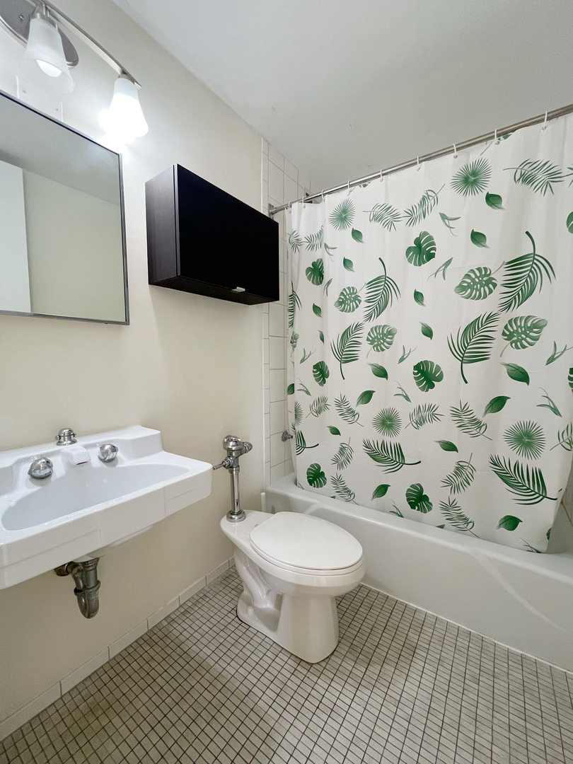 1401 East 55th Street Chicago IL 60615