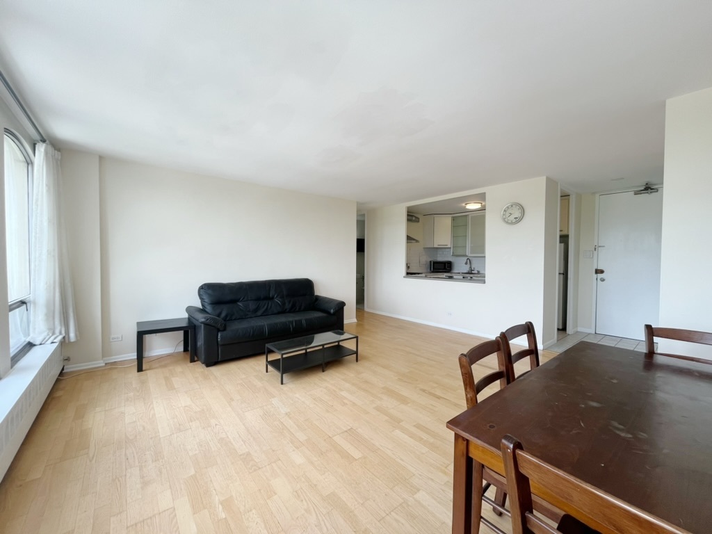 1401 East 55th Street Chicago IL 60615