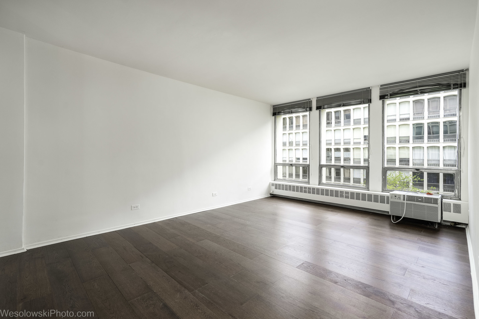 1451 East 55th Street Chicago IL 60615