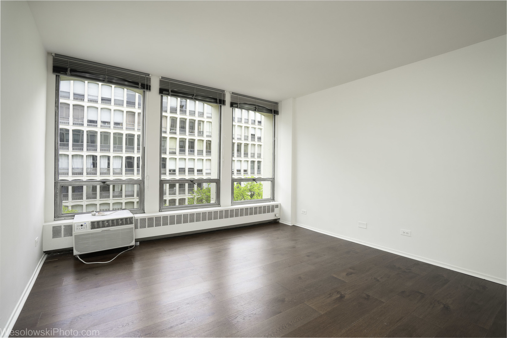 1451 East 55th Street Chicago IL 60615
