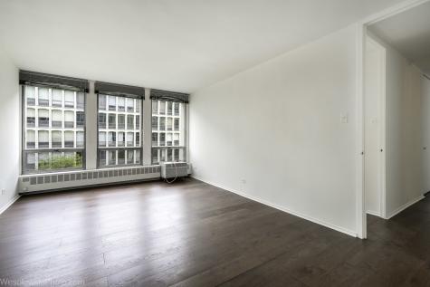 1451 East 55th Street Chicago IL 60615