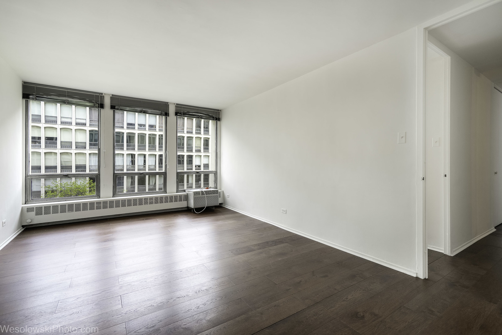 1451 East 55th Street Chicago IL 60615