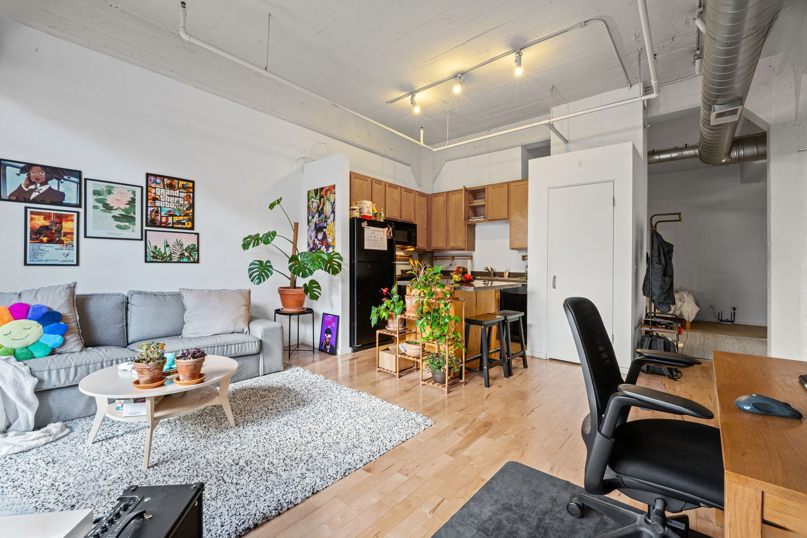 1528 South Wabash Avenue Chicago IL 60605