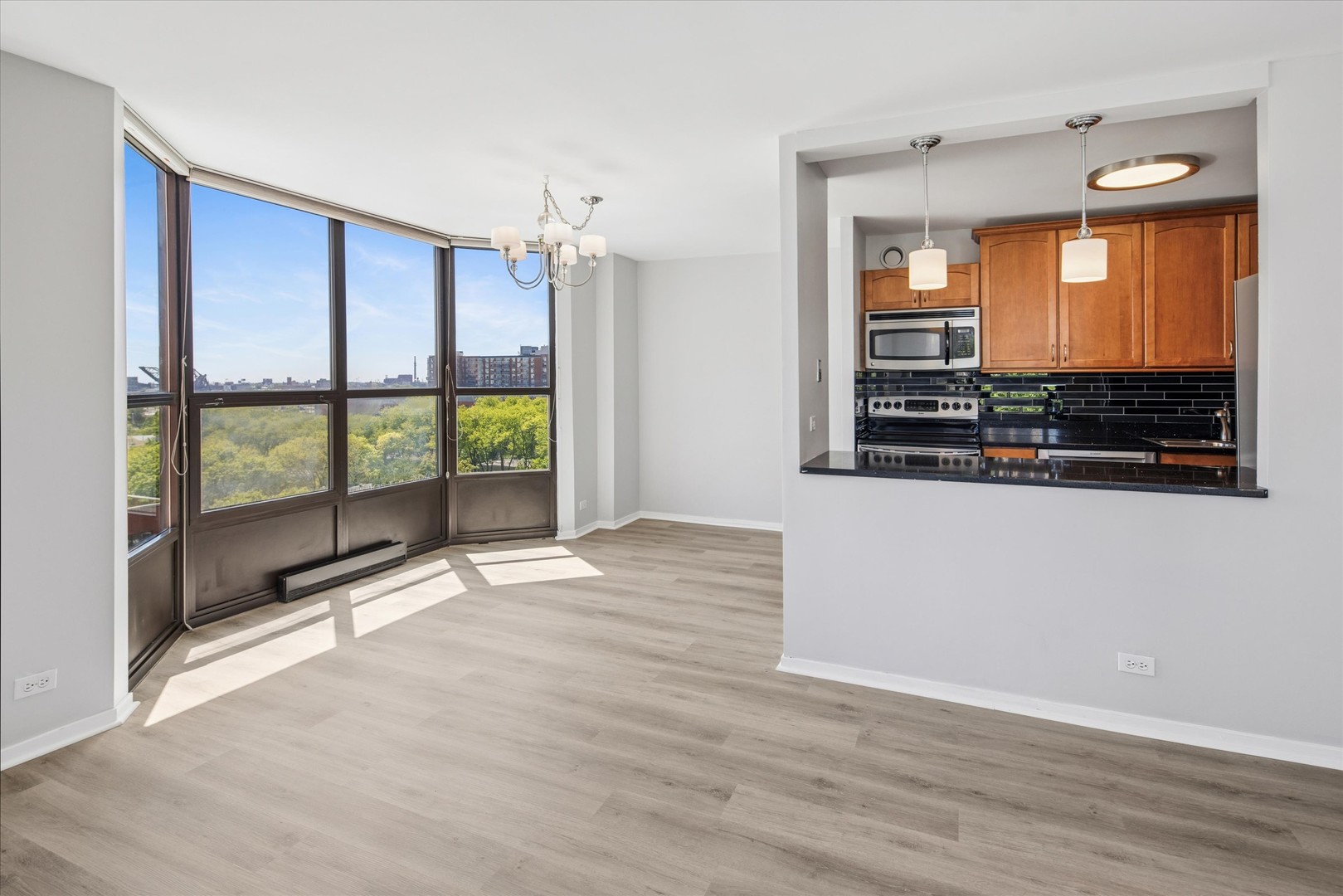 901 South Plymouth Court Chicago IL 60605