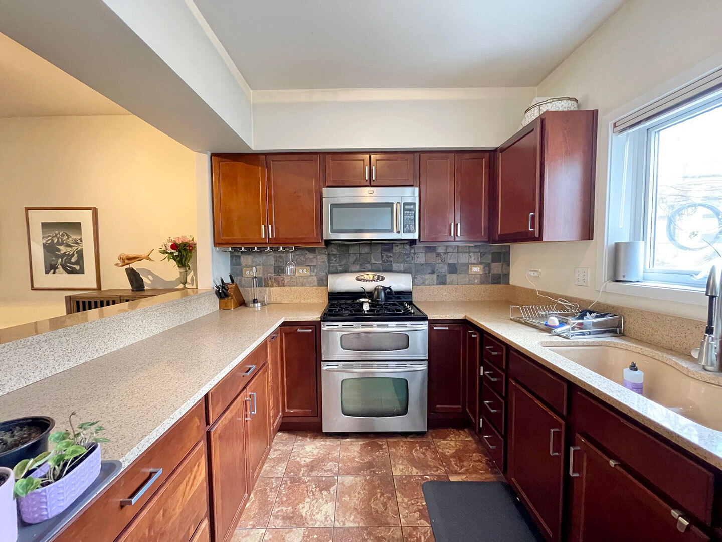 2717 North Lehmann Court Chicago IL 60614