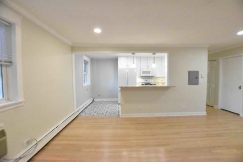 2409 West Balmoral Avenue Chicago IL 60625