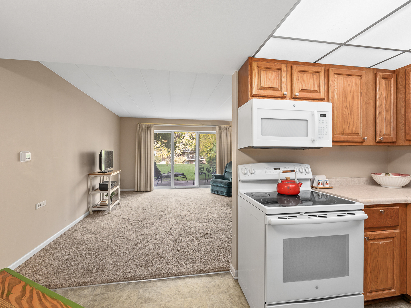 5540 Walnut Avenue Downers Grove IL 60515
