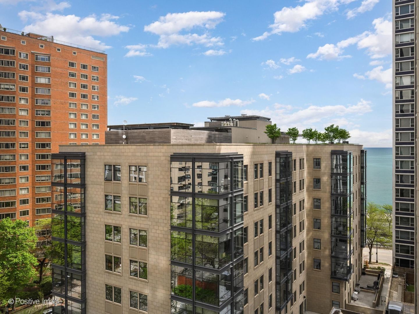 1310 North Ritchie Court Chicago IL 60610