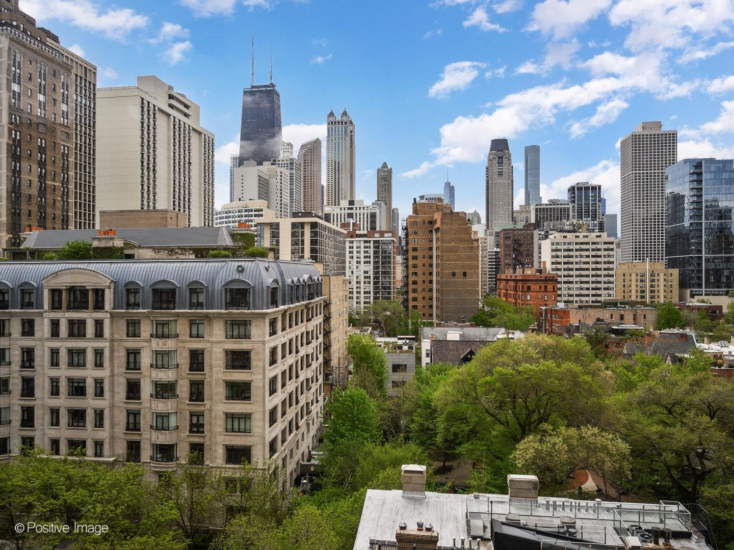 1310 North Ritchie Court Chicago IL 60610