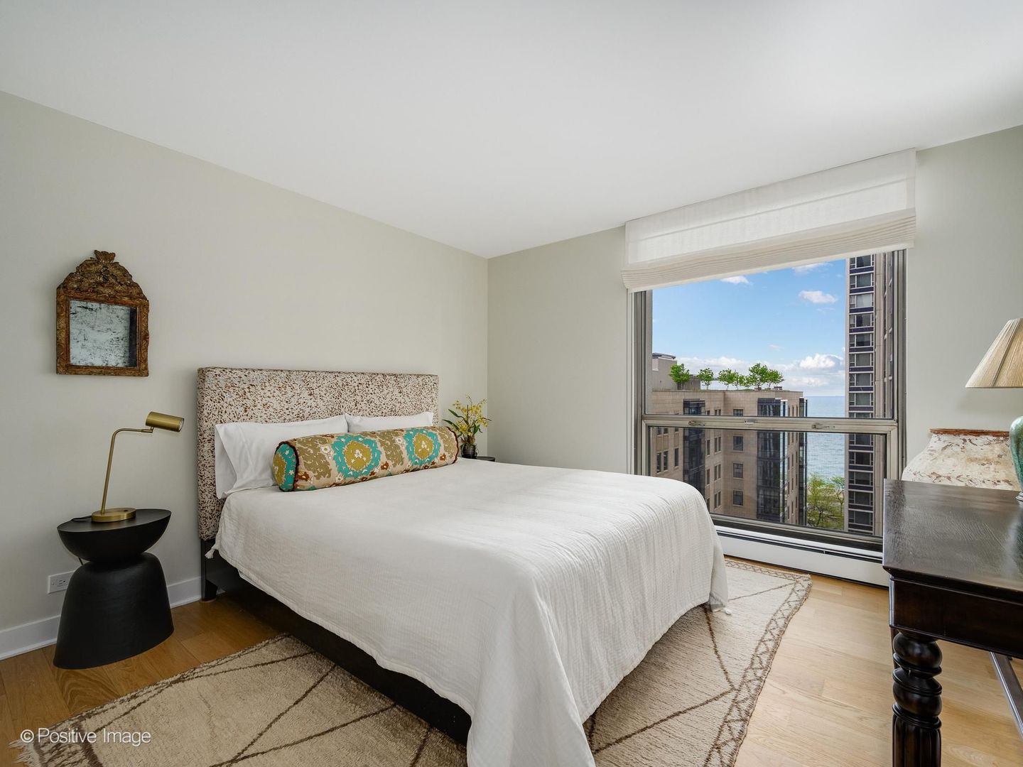 1310 North Ritchie Court Chicago IL 60610