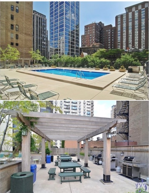 1310 North Ritchie Court Chicago IL 60610