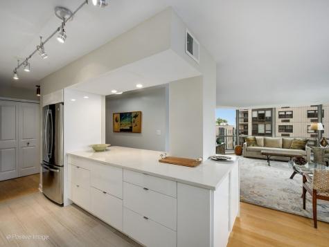 1310 North Ritchie Court Chicago IL 60610
