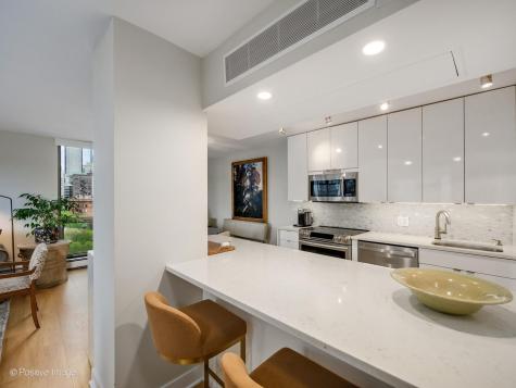 1310 North Ritchie Court Chicago IL 60610
