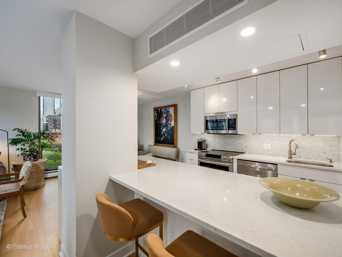 1310 North Ritchie Court Chicago IL 60610